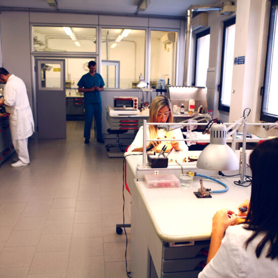 Reggio-Lab